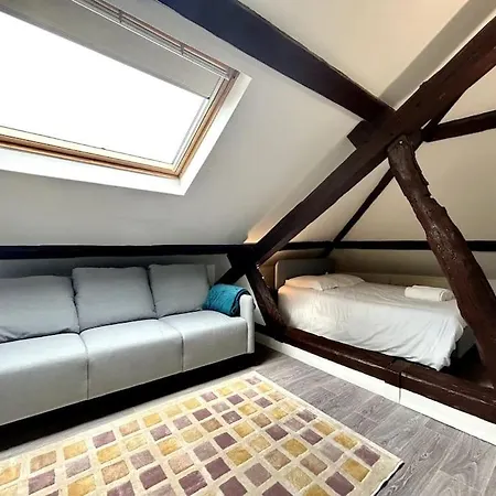 Appartement Stanislas, Familial Avec Parking ! *
